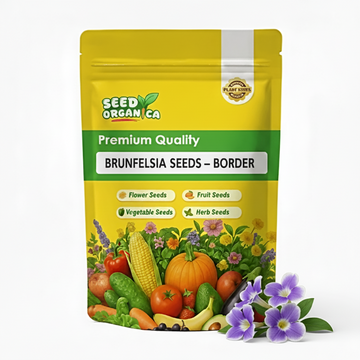 Brunfelsia Seeds – Border