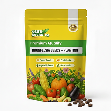 Brunfelsia Seeds – Planting