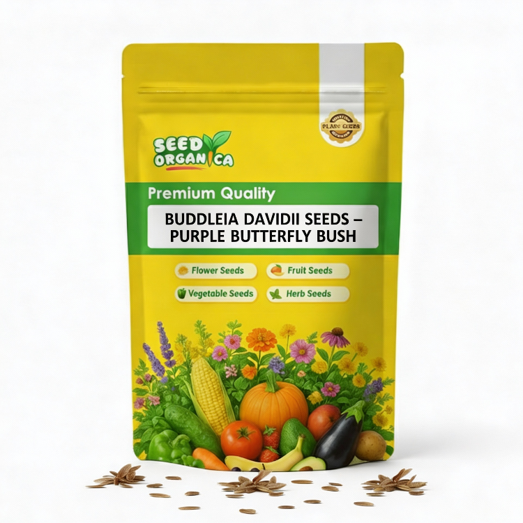 Buddleia Davidii Seeds – Purple Butterfly Bush