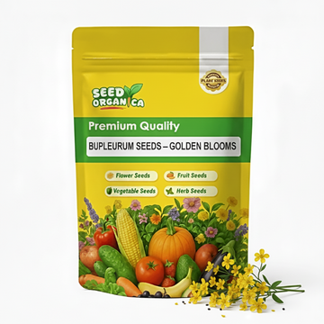 Bupleurum Seeds – Golden Blooms