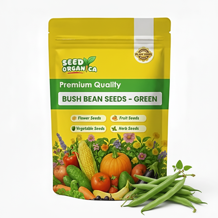 Bush Bean Seeds – Green