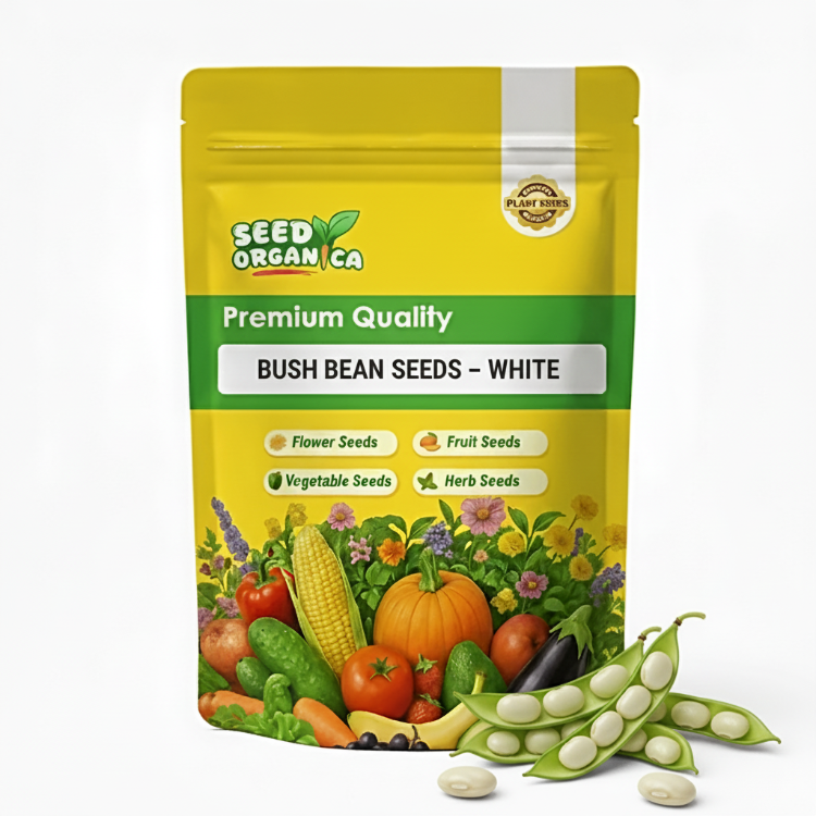 Bush Bean Seeds – White