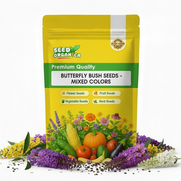 Butterfly Bush Seeds - Mixed Colors