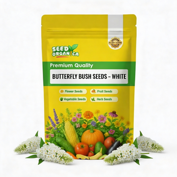 Butterfly Bush Seeds – White