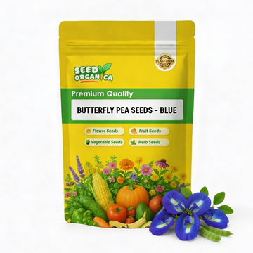 Butterfly Pea Seeds – Blue