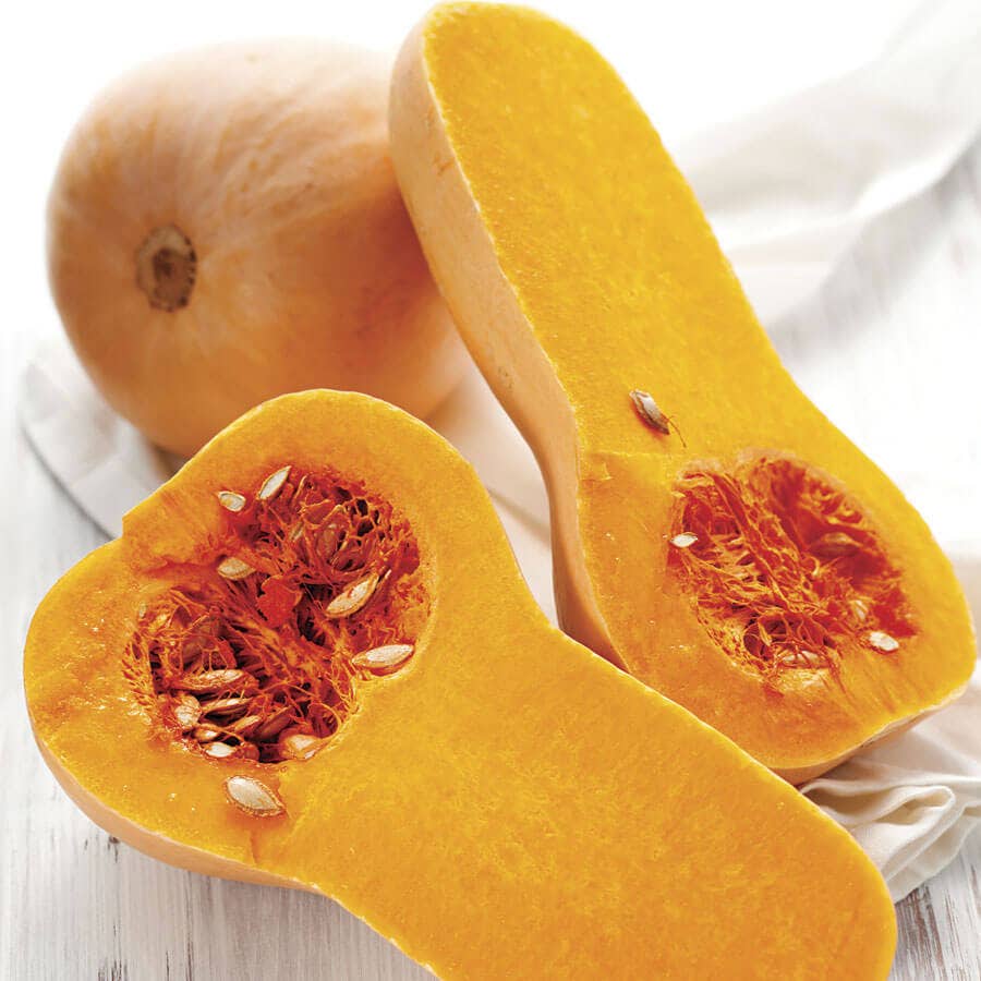 Butternut Squash Seeds – Yellow