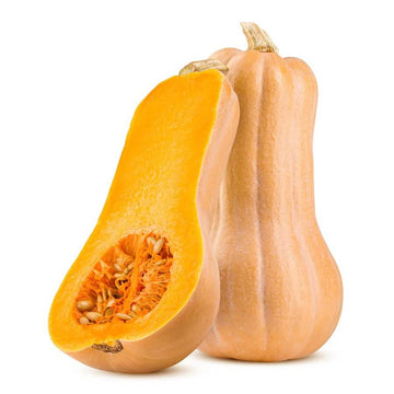 Butternut Squash Seeds – Yellow
