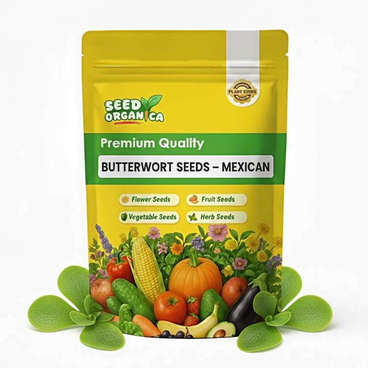 Butterwort Seeds – Mexican