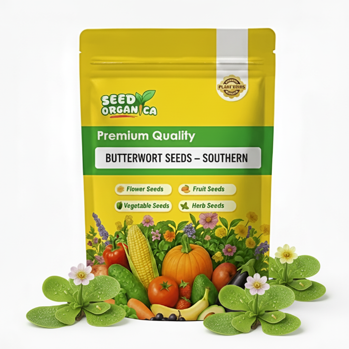 Butterwort Seeds – Southern