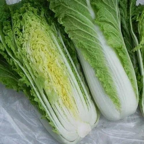 Cabbage Seeds – Michihili
