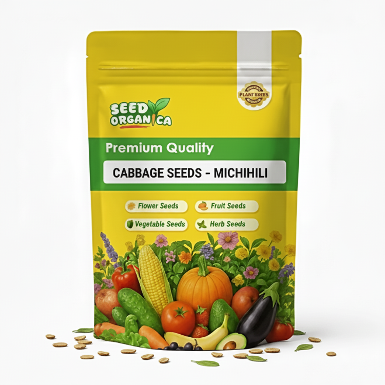 Cabbage Seeds – Michihili
