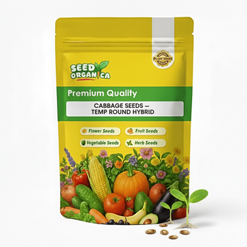 Cabbage Seeds – TEMP Round Hybrid