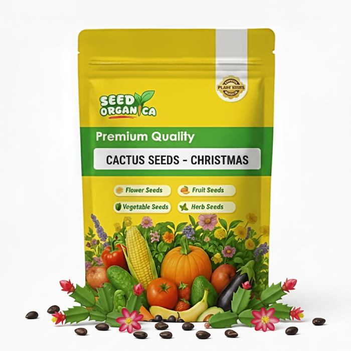 Cactus Seeds – Christmas