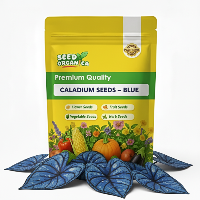 Caladium Seeds – Blue