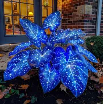 
Caladium Seeds – Sky Blue
