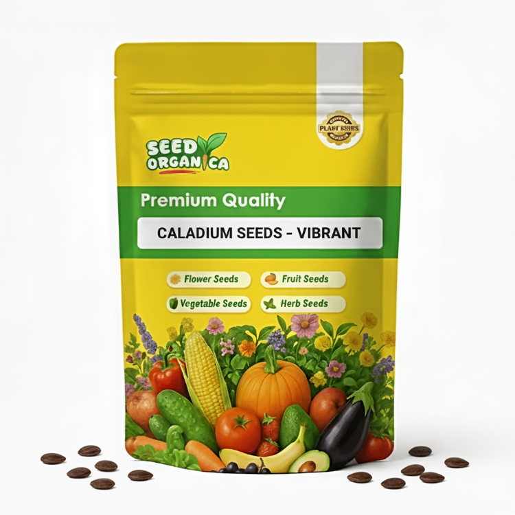 Caladium Seeds – Vibrant