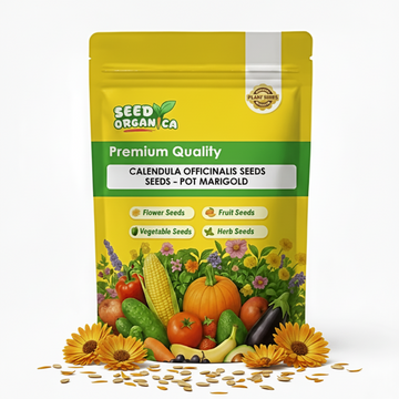 Calendula Officinalis Seeds – Pot Marigold