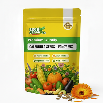 Calendula Seeds – Fancy Mix