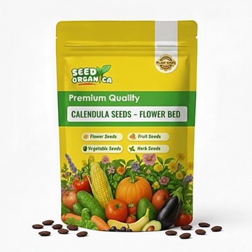 Calendula Seeds – Flower Bed