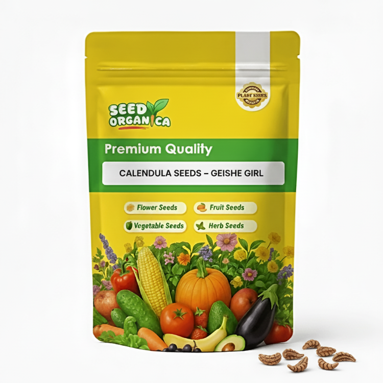 Calendula Seeds – Geishe Girl