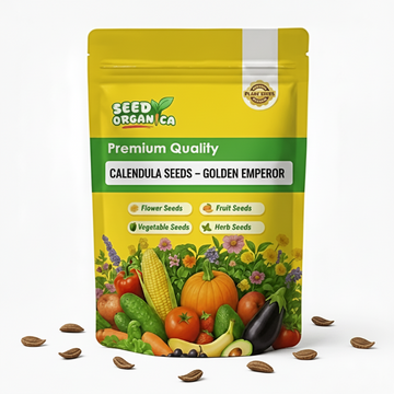 Calendula Seeds – Golden Emperor