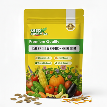 Calendula Seeds – Heirloom