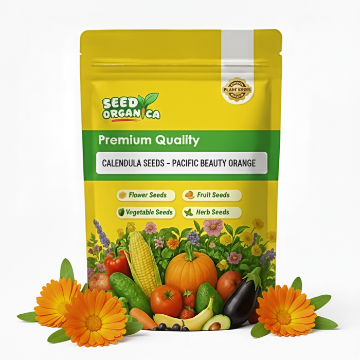 Calendula Seeds – Pacific Beauty Orange