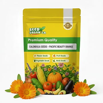 Calendula Seeds – Pacific Beauty Orange