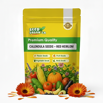 Calendula Seeds – Red Heirloom