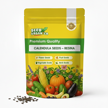 Calendula Seeds – Resina