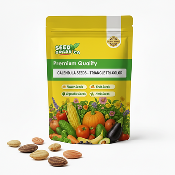 Calendula Seeds – Triangle Tri-Color