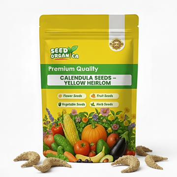 Calendula Seeds – Yellow Heirloom