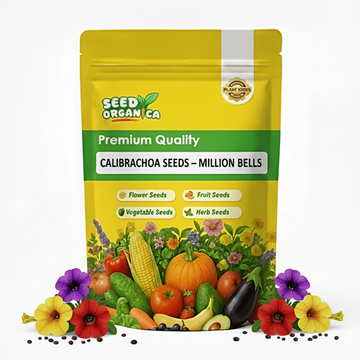 Calibrachoa Seeds – Million Bells