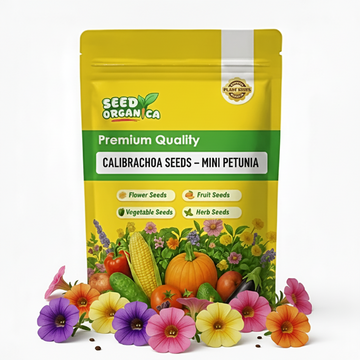 Calibrachoa Seeds – Mini Petunia