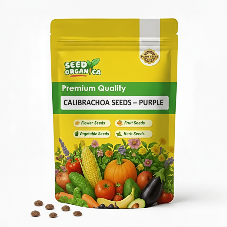 Calibrachoa Seeds – Purple