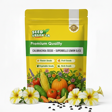 Calibrachoa Seeds – Superbells Lemon Slice