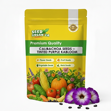 Calibrachoa Seeds – Tinted Purple Kabloom