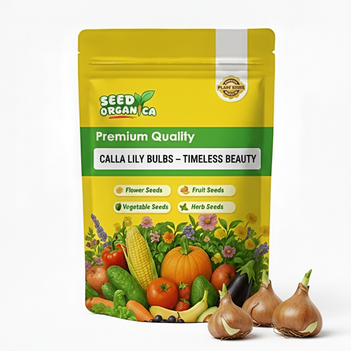 Calla Lily Bulbs – Timeless Beauty