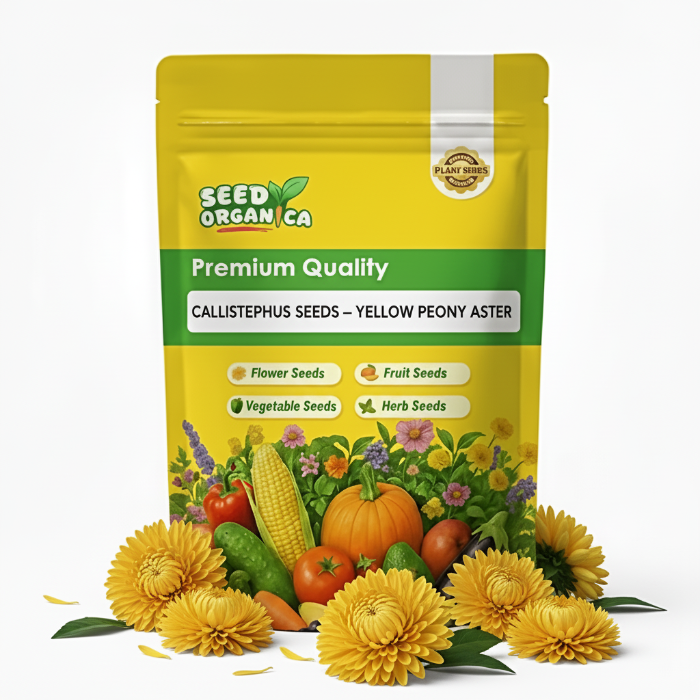 Callistephus Seeds – Yellow Peony Aster