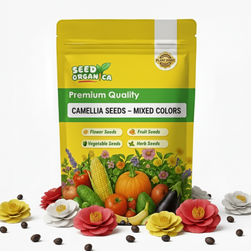 Camellia Seeds – Mixed Colors