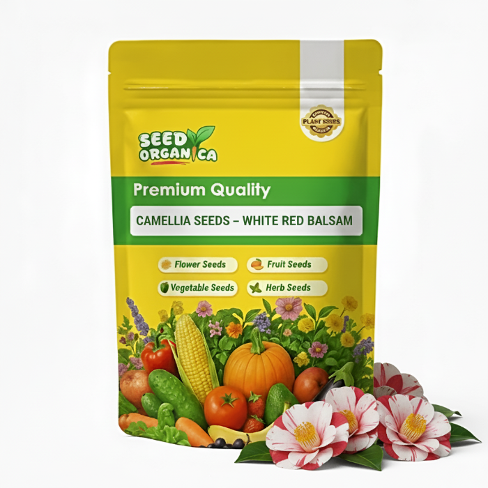 Camellia Seeds – White Red Balsam