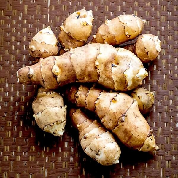 Canadian Artichoke Seeds