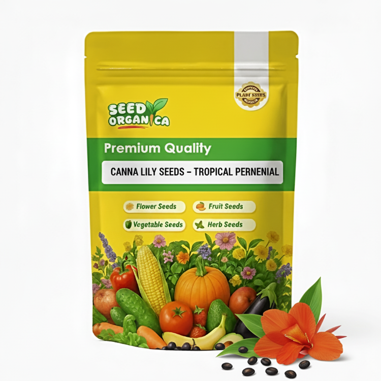 Canna Lily Seeds – Tropical Perennial