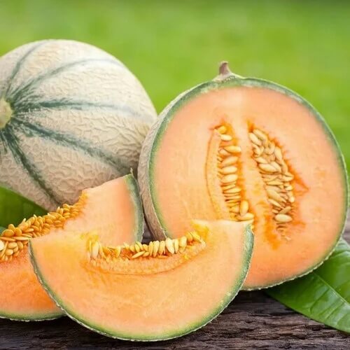 Cantaloupe Seeds – Cucumis melo