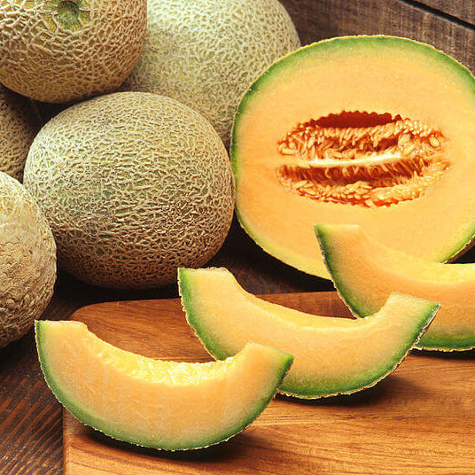 Cantaloupe Seeds – Cucumis melo
