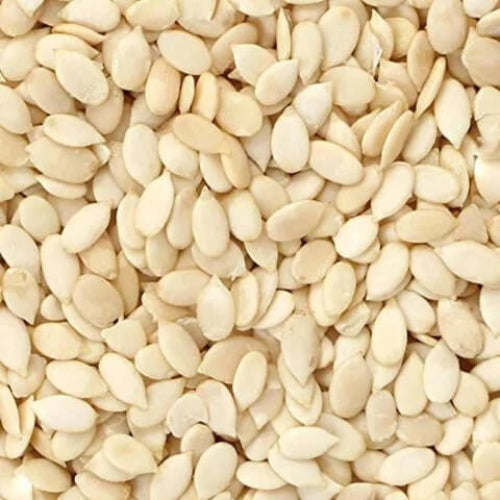 Cantaloupe Seeds - All In One For Home Gardens