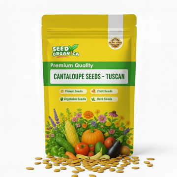 Cantaloupe Seeds - Tuscan
