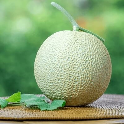 Cantaloupe Seeds – Pink