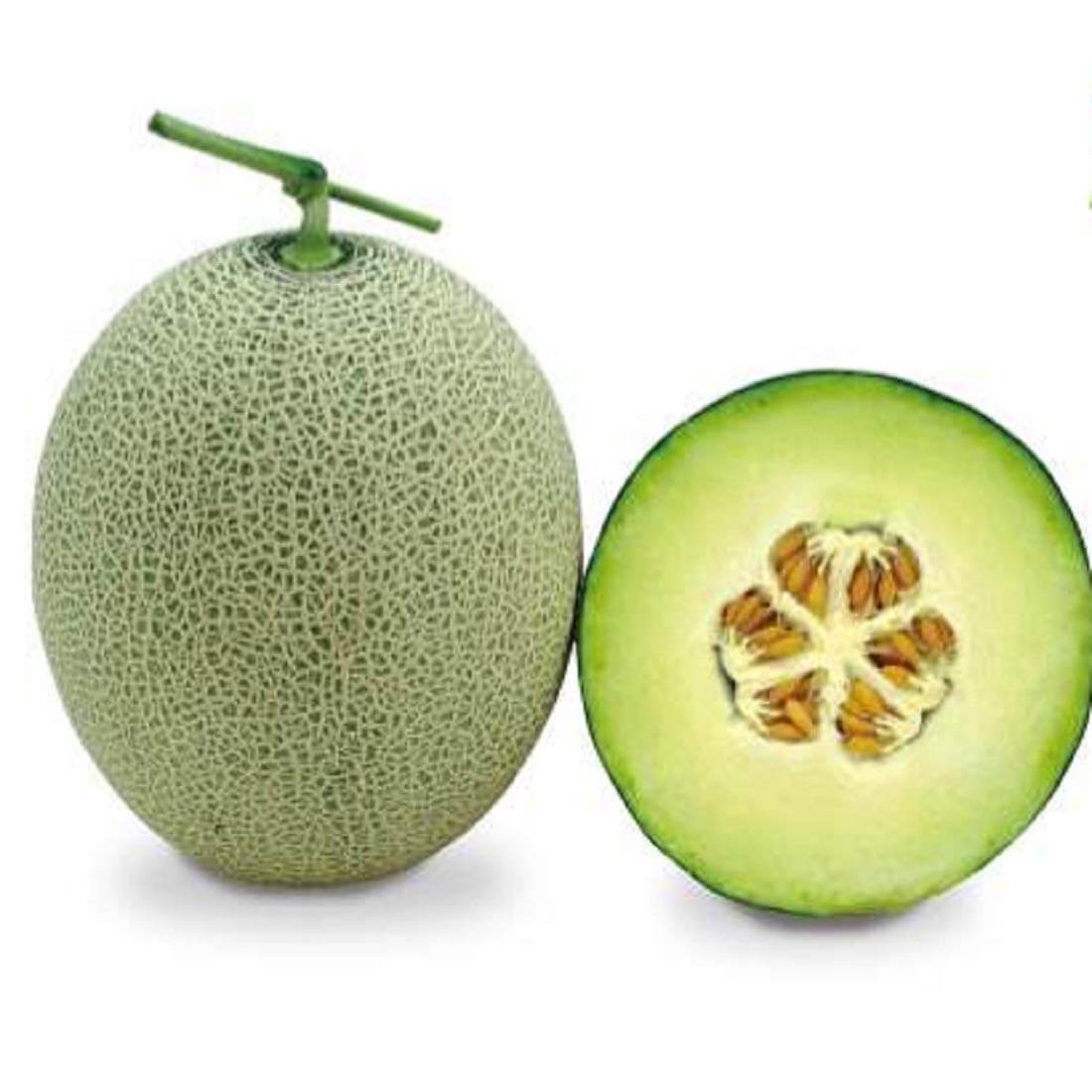 Cantaloupe Seeds – Green