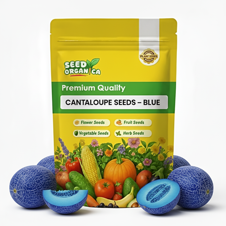 Cantaloupe Seeds – Blue